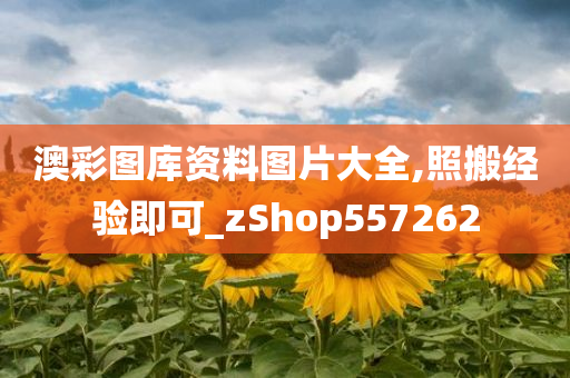 澳彩图库资料图片大全,照搬经验即可_zShop557262