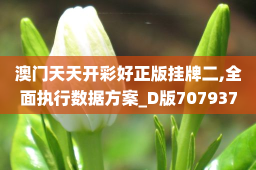 澳门天天开彩好正版挂牌二,全面执行数据方案_D版707937