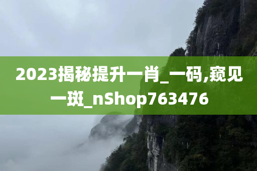 2023揭秘提升一肖_一码,窥见一斑_nShop763476