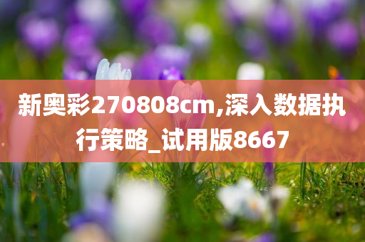 新奥彩270808cm,深入数据执行策略_试用版8667