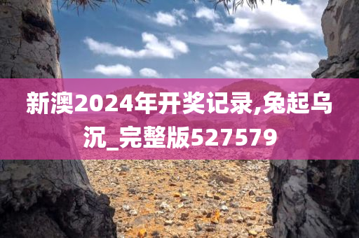 新澳2024年开奖记录,兔起乌沉_完整版527579