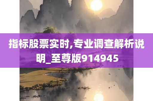 指标股票实时,专业调查解析说明_至尊版914945