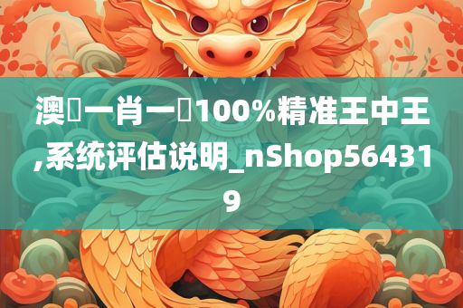 澳門一肖一碼100%精准王中王,系统评估说明_nShop564319