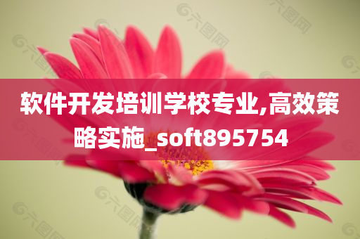 软件开发培训学校专业,高效策略实施_soft895754