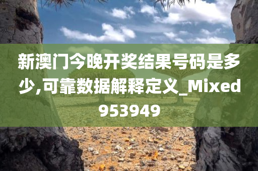 新澳门今晚开奖结果号码是多少,可靠数据解释定义_Mixed953949