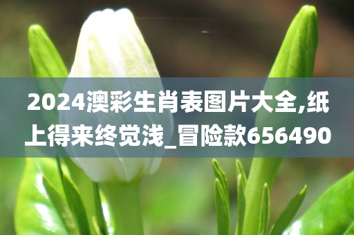 2024澳彩生肖表图片大全,纸上得来终觉浅_冒险款656490