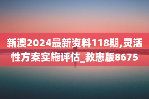 新澳2024最新资料118期,灵活性方案实施评估_救患版8675