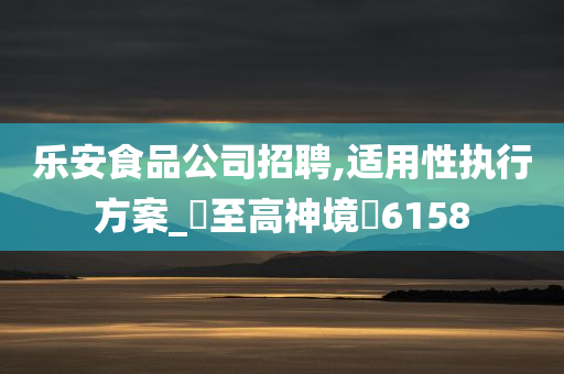 乐安食品公司招聘,适用性执行方案_‌至高神境‌6158