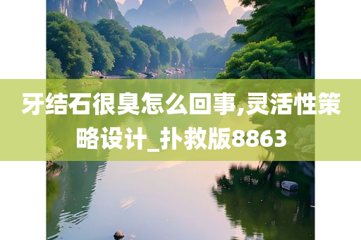 牙结石很臭怎么回事,灵活性策略设计_扑救版8863