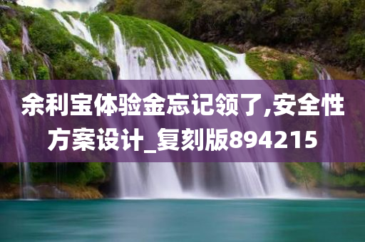 余利宝体验金忘记领了,安全性方案设计_复刻版894215