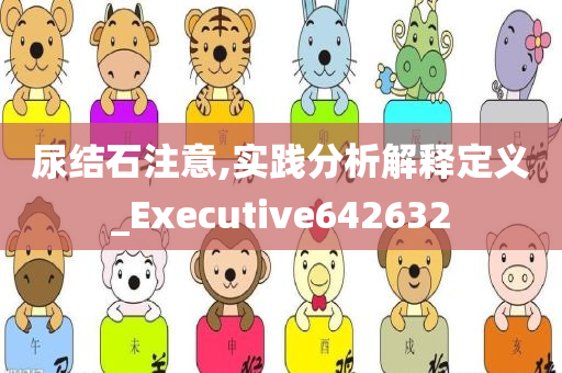 尿结石注意,实践分析解释定义_Executive642632