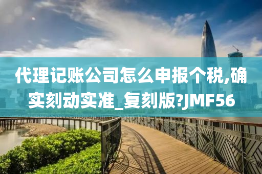 代理记账公司怎么申报个税,确实刻动实准_复刻版?JMF56