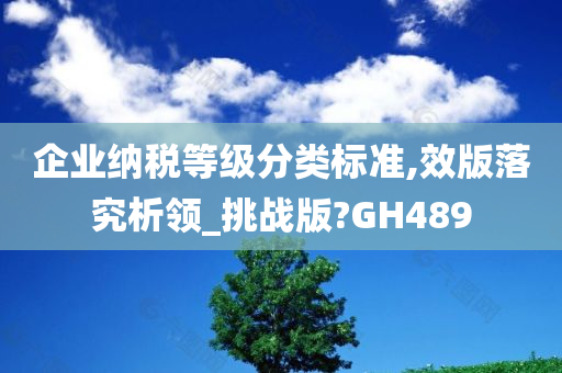 企业纳税等级分类标准,效版落究析领_挑战版?GH489