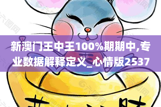 新澳门王中王100%期期中,专业数据解释定义_心情版2537