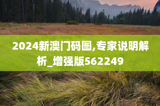 2024新澳门码图,专家说明解析_增强版562249