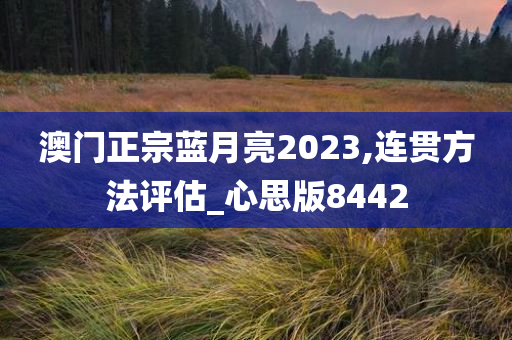 澳门正宗蓝月亮2023,连贯方法评估_心思版8442