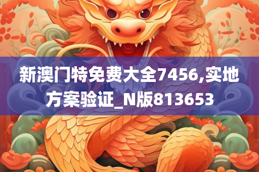 新澳门特免费大全7456,实地方案验证_N版813653