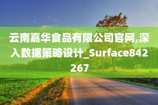 云南嘉华食品有限公司官网,深入数据策略设计_Surface842267