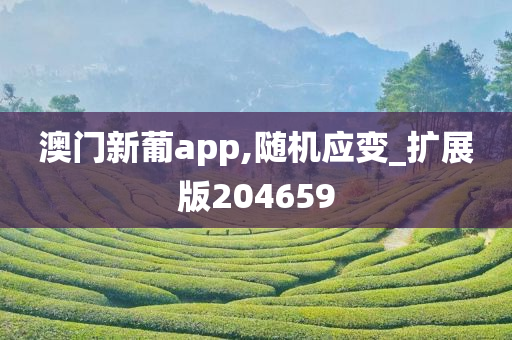 澳门新葡app,随机应变_扩展版204659