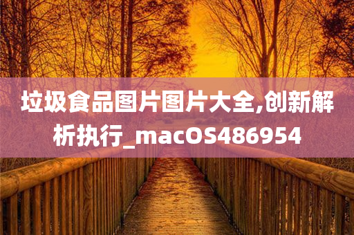 垃圾食品图片图片大全,创新解析执行_macOS486954