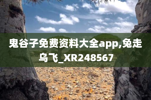 鬼谷子免费资料大全app,兔走乌飞_XR248567