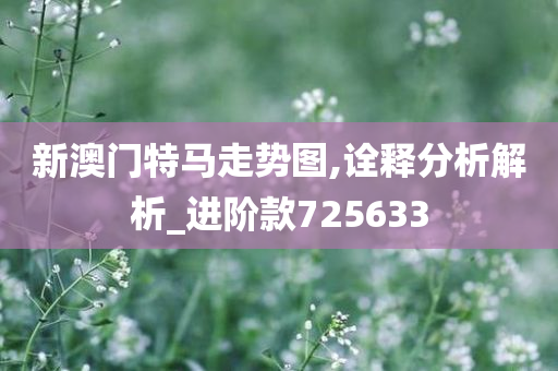 新澳门特马走势图,诠释分析解析_进阶款725633