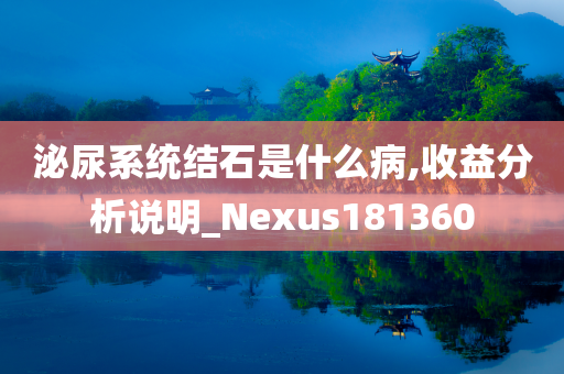 泌尿系统结石是什么病,收益分析说明_Nexus181360