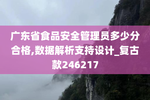 广东省食品安全管理员多少分合格,数据解析支持设计_复古款246217