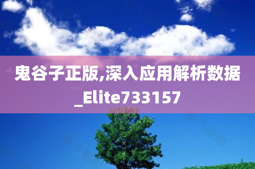 鬼谷子正版,深入应用解析数据_Elite733157