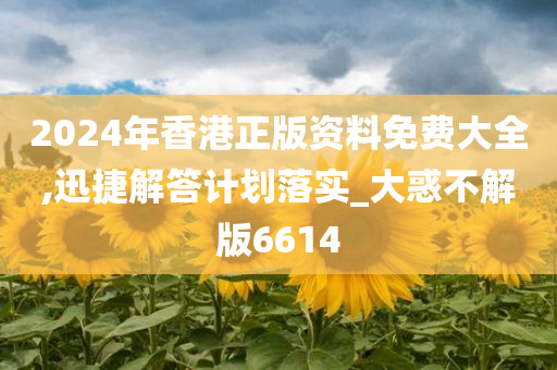 2024年香港正版资料免费大全,迅捷解答计划落实_大惑不解版6614