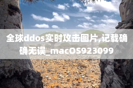 全球ddos实时攻击图片,记载确确无误_macOS923099