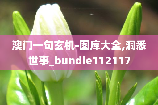 澳门一句玄机-图库大全,洞悉世事_bundle112117