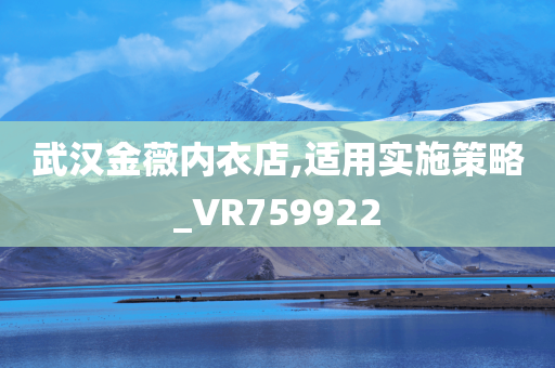 武汉金薇内衣店,适用实施策略_VR759922