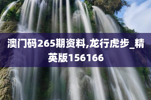 澳门码265期资料,龙行虎步_精英版156166