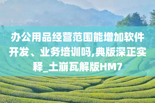 办公用品经营范围能增加软件开发、业务培训吗,典版深正实释_土崩瓦解版HM7