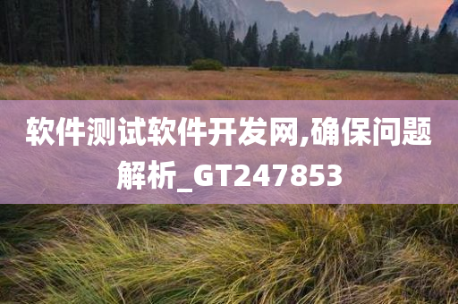 软件测试软件开发网,确保问题解析_GT247853