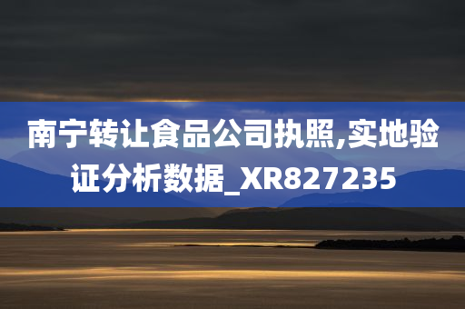 南宁转让食品公司执照,实地验证分析数据_XR827235