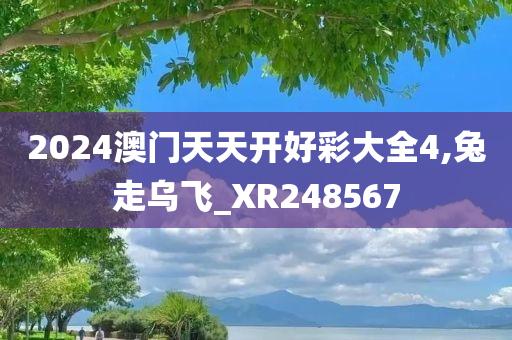 2024澳门天天开好彩大全4,兔走乌飞_XR248567