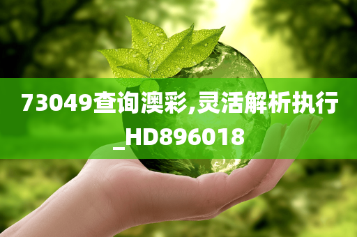 73049查询澳彩,灵活解析执行_HD896018