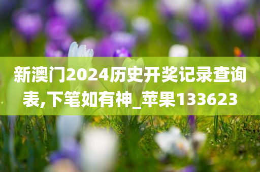 新澳门2024历史开奖记录查询表,下笔如有神_苹果133623