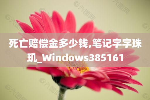 死亡赔偿金多少钱,笔记字字珠玑_Windows385161