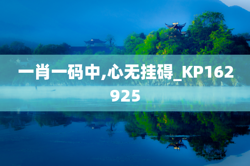 一肖一码中,心无挂碍_KP162925