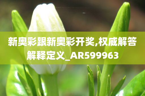 新奥彩跟新奥彩开奖,权威解答解释定义_AR599963