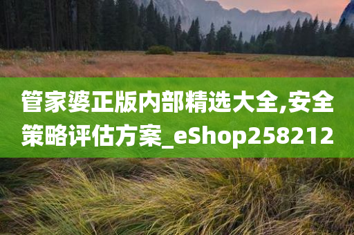 管家婆正版内部精选大全,安全策略评估方案_eShop258212