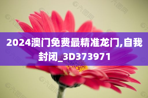 2024澳门免费最精准龙门,自我封闭_3D373971