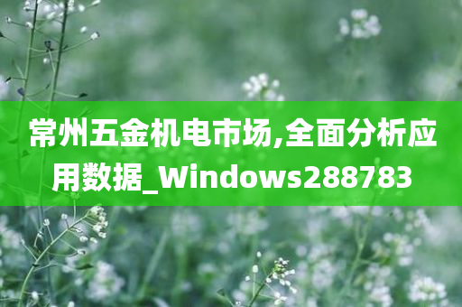 常州五金机电市场,全面分析应用数据_Windows288783