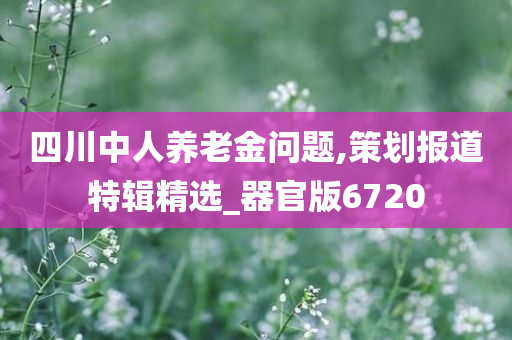 四川中人养老金问题,策划报道特辑精选_器官版6720