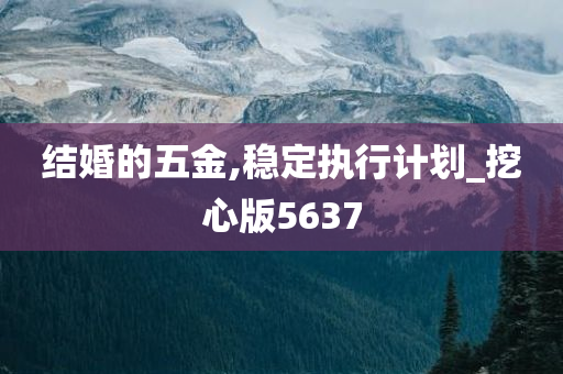 结婚的五金,稳定执行计划_挖心版5637