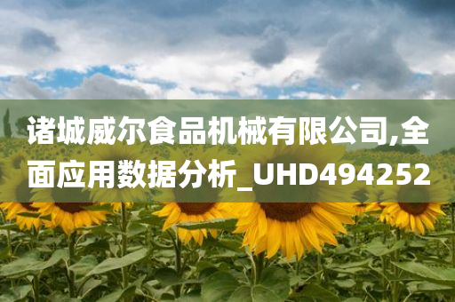 诸城威尔食品机械有限公司,全面应用数据分析_UHD494252