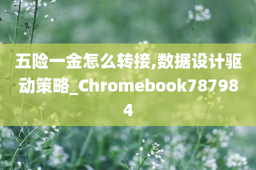 五险一金怎么转接,数据设计驱动策略_Chromebook787984